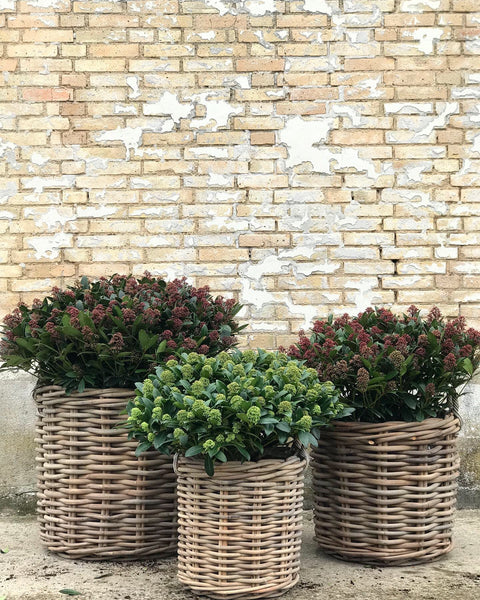 RATTAN KURV GROV - GRÅ