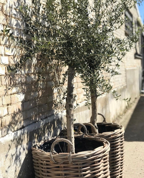 RATTAN KURV GROV - GRÅ