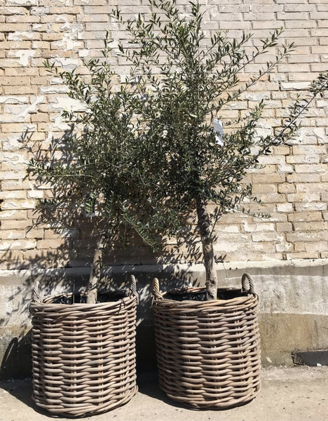 RATTAN KURV GROV - GRÅ