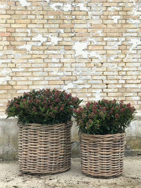 RATTAN KURV GROV - GRÅ