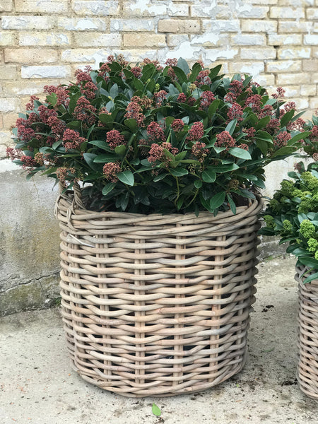 RATTAN KURV GROV - GRÅ