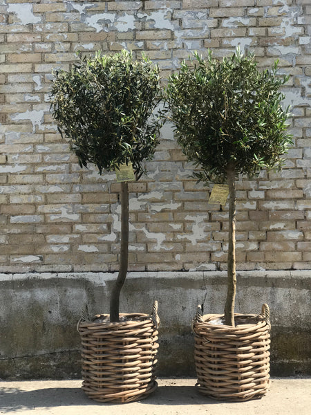 RATTAN KURV GROV - GRÅ