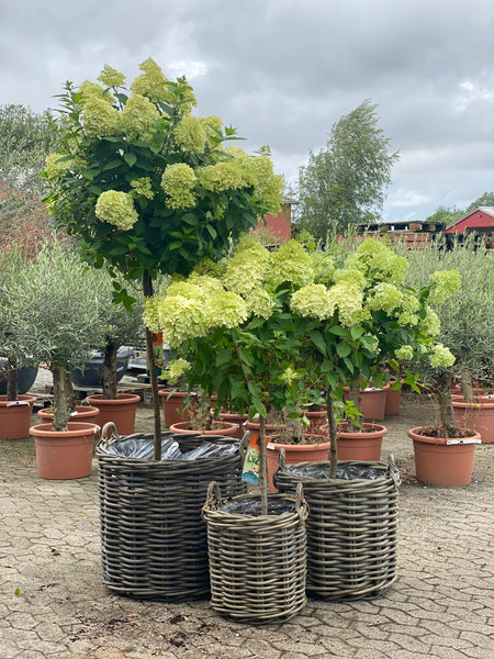 RATTAN KURV GROV - GRÅ