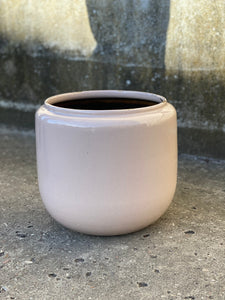 KAREN POTTE / Rosa